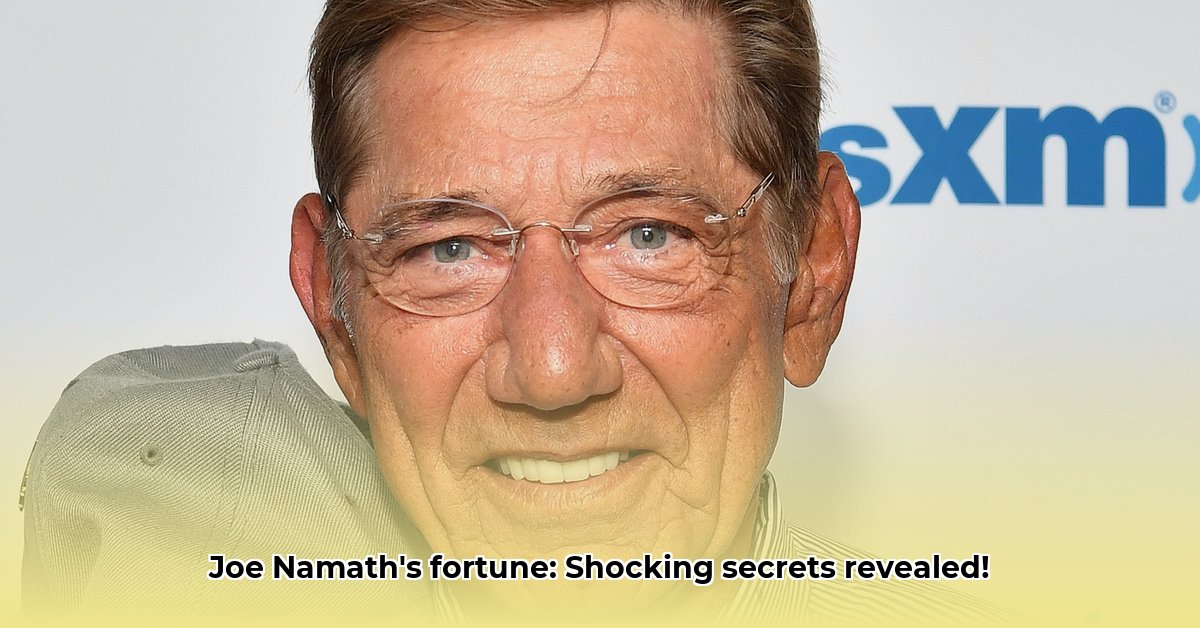 net-worth-of-joe-namath